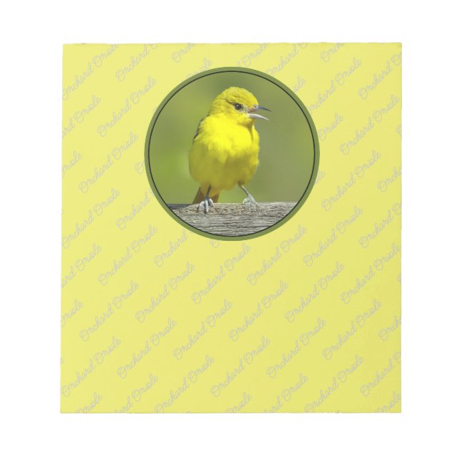 Orchard Oriole - Original Foto Notizblock (Vorderseite)