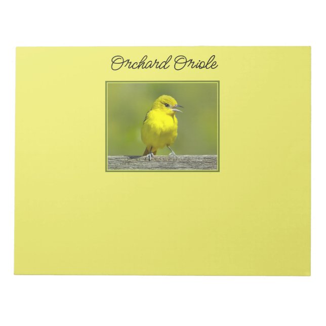 Orchard Oriole - Original Foto Notizblock (Vorderseite)