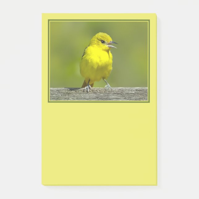 Orchard Oriole - Original Foto Post-it Klebezettel (Vorderseite)