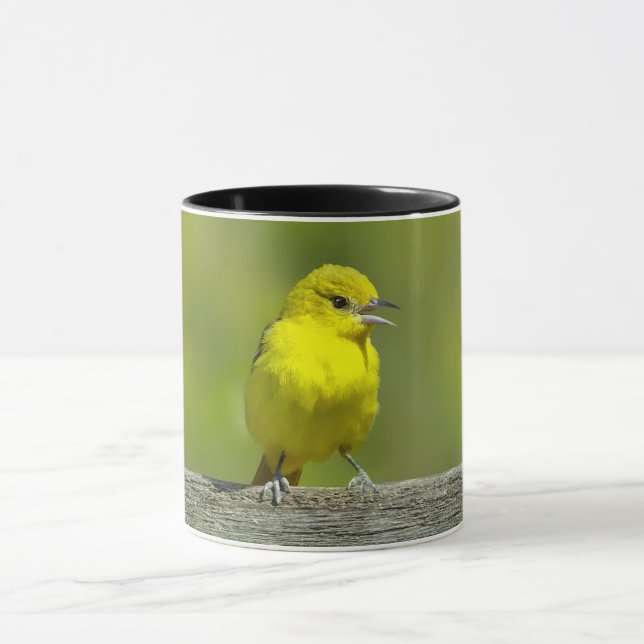 Orchard Oriole - Original Foto Tasse (Zentrum)