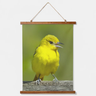Orchard Oriole - Original Foto Wandteppich Mit Holzrahmen