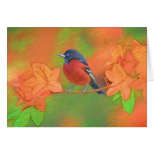 Orchard Oriole Songbird Malerei Original Bird Art