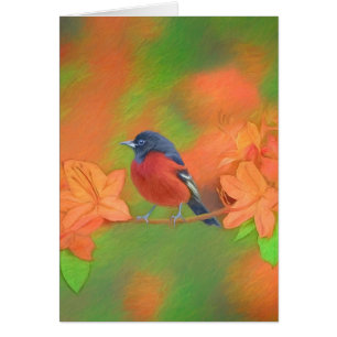 Orchard Oriole Songbird Malerei Original Bird Art