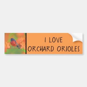 Orchard Oriole Songbird Malerei Original Bird Art Autoaufkleber