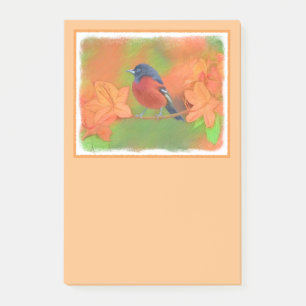Orchard Oriole Songbird Malerei Original Bird Art Post-it Klebezettel