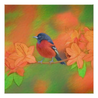 Orchard Oriole Songbird Malerei Original Bird Art