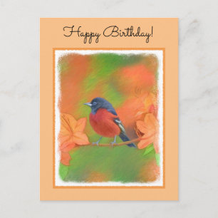 Orchard Oriole Songbird Malerei Original Bird Art Postkarte