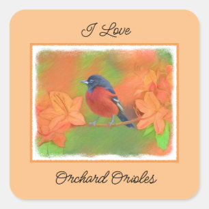 Orchard Oriole Songbird Malerei Original Bird Art Quadratischer Aufkleber