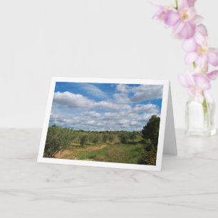 Orchard Path Sky Landschaft Karte