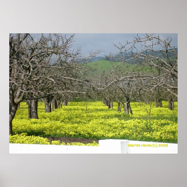 Orchard Senard Fields Poster (Vorne)