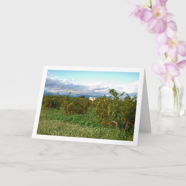 Orchard, Valencia, Spanien Karte (Orchidee)