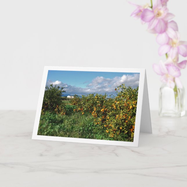 Orchard, Valencia, Spanien Karte (Orchidee)