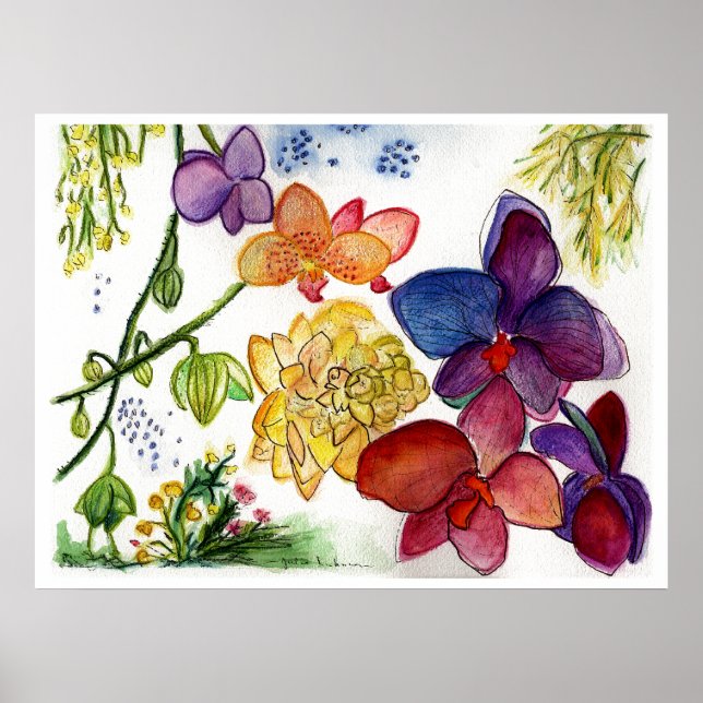 Orchid-40 Poster (Vorne)