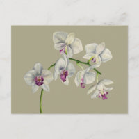 Orchid-Aquarellmalerei