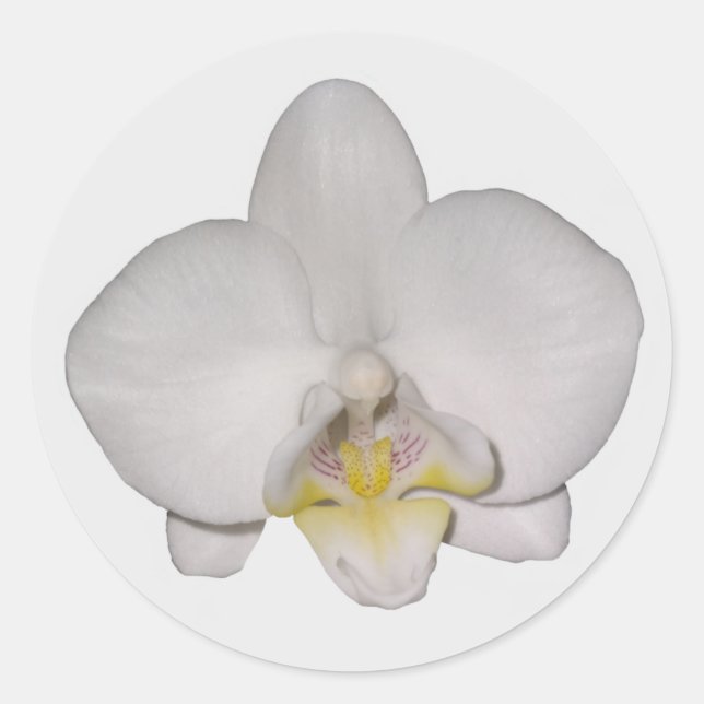 Orchid-Aufkleber Runder Aufkleber (Vorderseite)