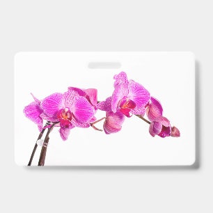 Orchid Ausweis