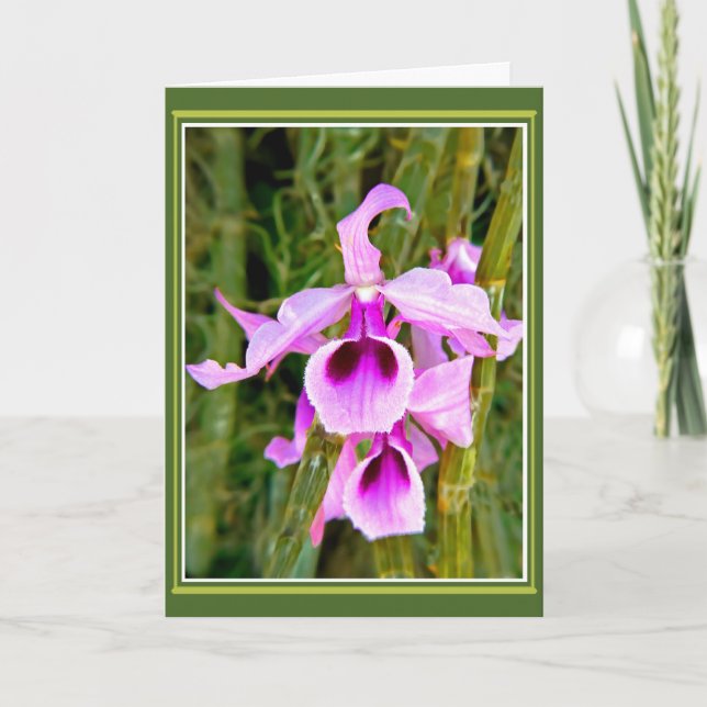 Orchid Birthday Karte (Vorderseite)