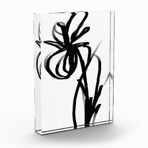 Orchid Blanc: Abstrakt weiß und schwarz Fotoblock