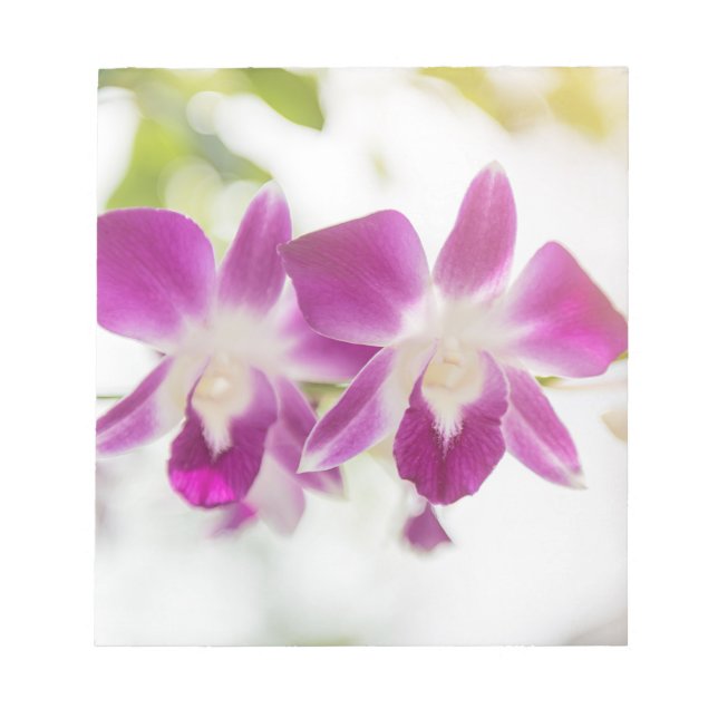 Orchid Blossom Notizblock (Vorderseite)