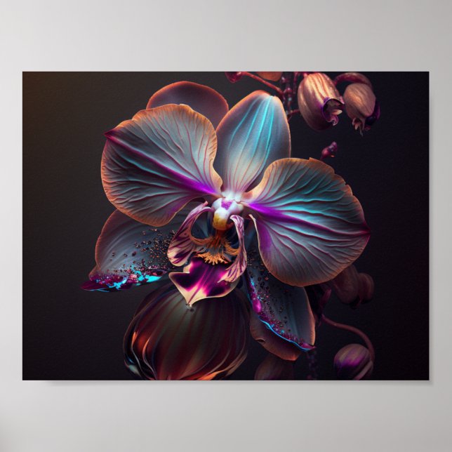 Orchid Blossom Poster (Vorne)