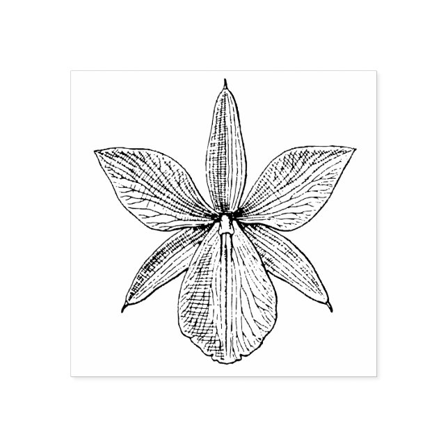 Orchid Blume Blossom Tropical Hawaii Botanisch Gummistempel (Prägung)