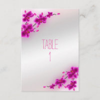 Orchid Blume Elegante Blumenzwiebeln Tischnummer