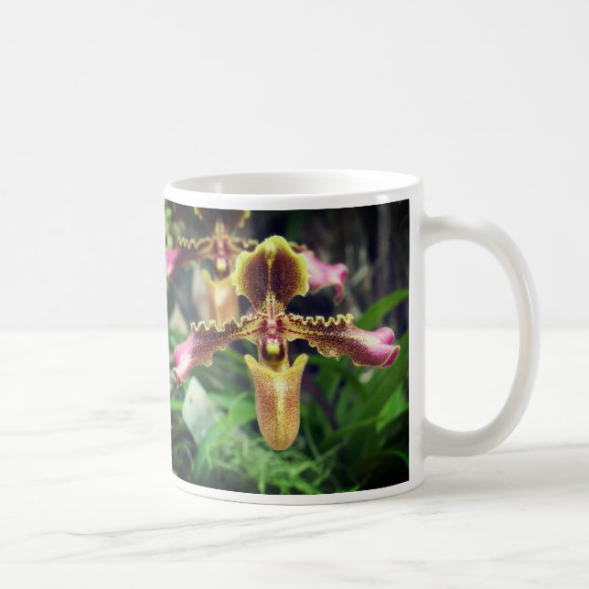 Orchid-Blume Kaffeetasse (Rechts)