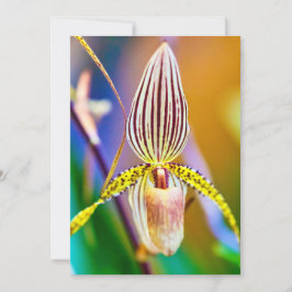 Orchid-Blume Karte