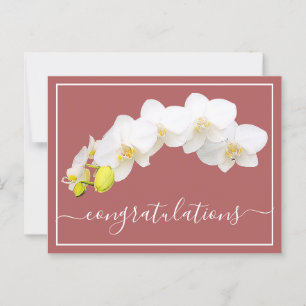 Orchid Blume Lachs Hintergrund Herzlichen Glückwun Postkarte