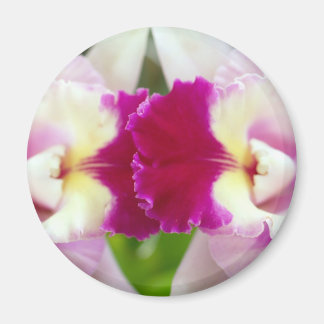 Orchid-Blume Magnet