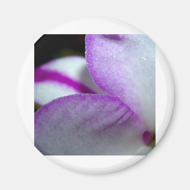 Orchid-Blume Magnet (Vorne)