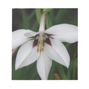 Orchid-Blume Notepad Notizblock