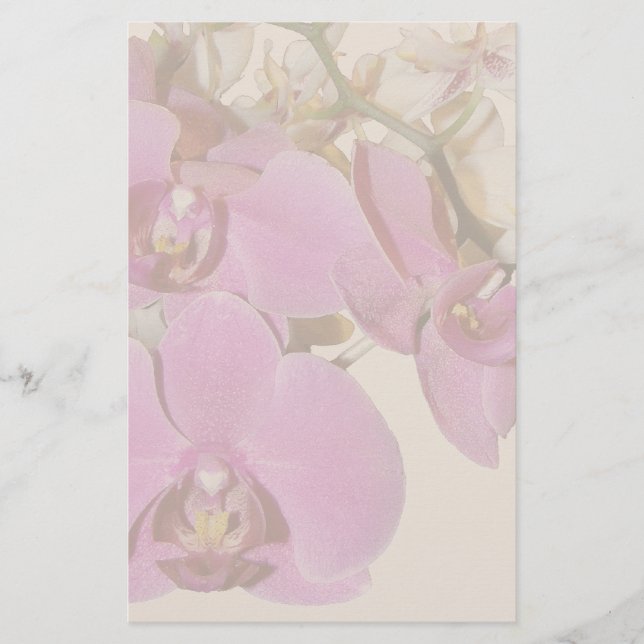 Orchid-Blume-Stationierung Briefpapier (Vorderseite)