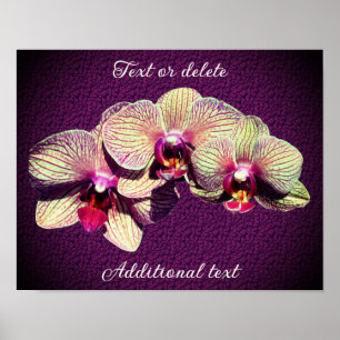 Orchid Blume Trio Ihren eigenen Text hinzufügen Poster