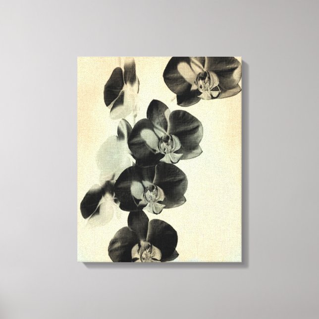 Orchid Blush Panels III Leinwanddruck (Vorderseite)