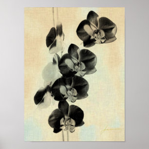 Orchid Blush Panels III Poster