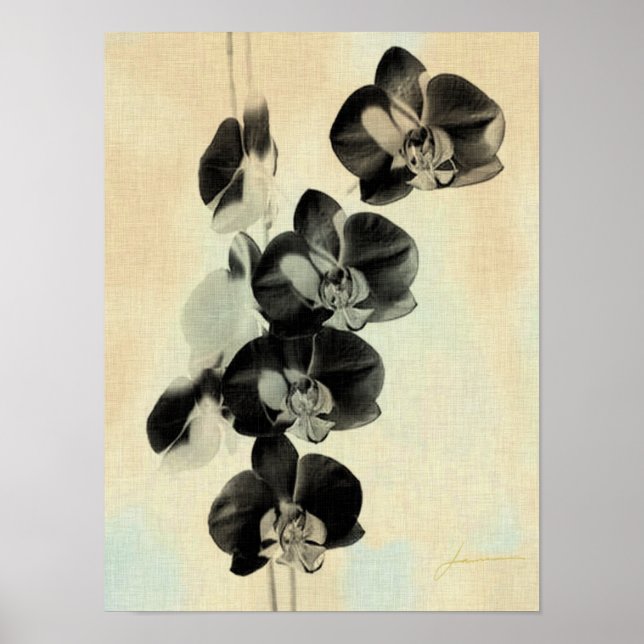 Orchid Blush Panels III Poster (Vorne)