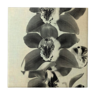 Orchid Blush Panels IV Fliese