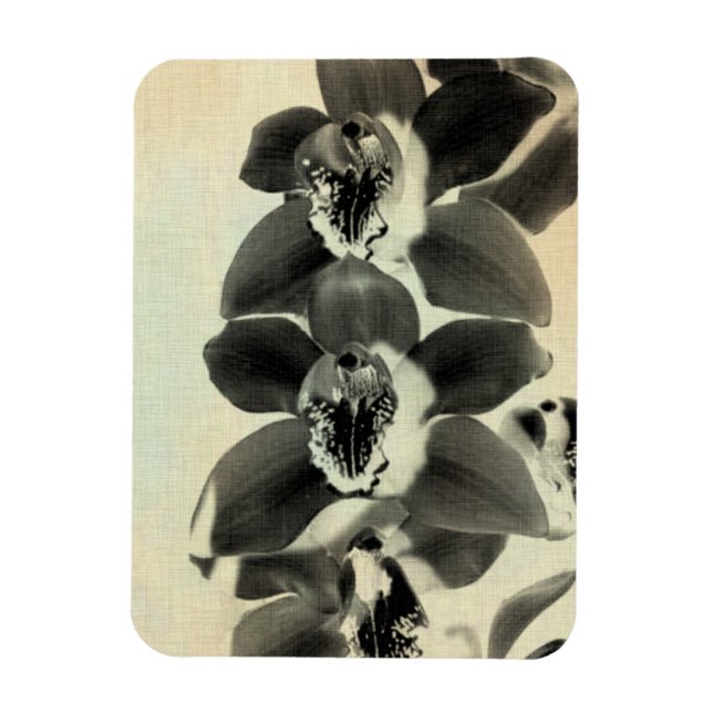 Orchid Blush Panels IV Magnet (Vertikal)