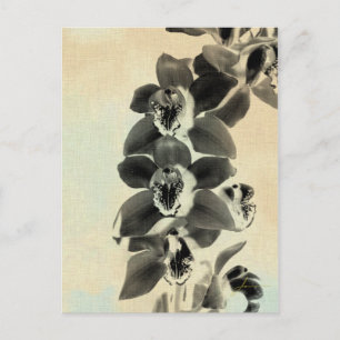 Orchid Blush Panels IV Postkarte