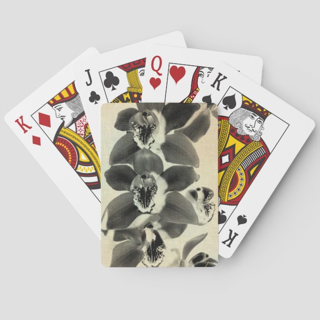 Orchid Blush Panels IV Spielkarten (Rückseite)