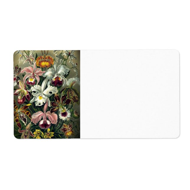 Orchid Botanic Print (Vorne)