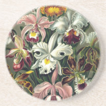 Orchid Botanic Print