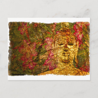 Orchid Buddha Postkarte