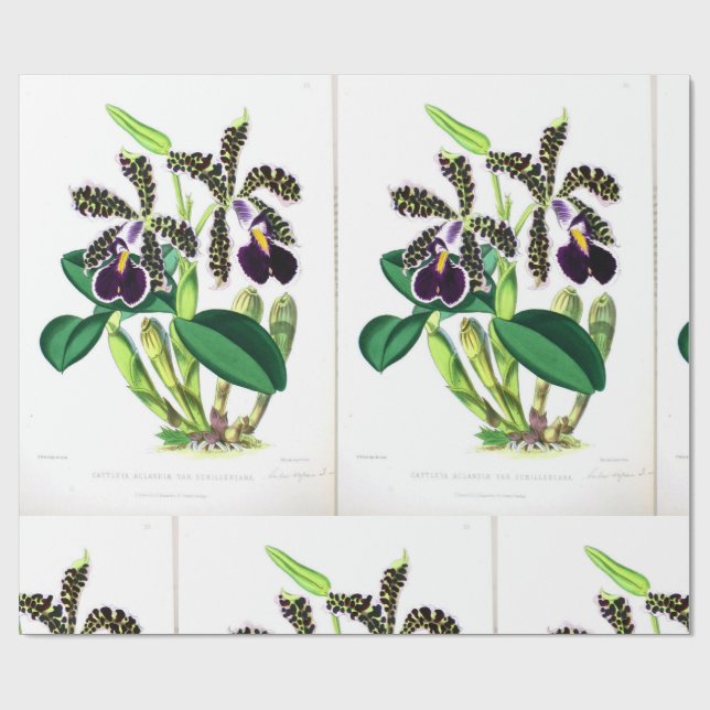 "Orchid-Dark-lila-black" Geschenkpapier (Flach)