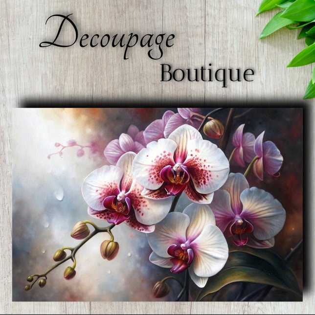 Orchid Elegano Floral Entdeckungsreise Seidenpapier (Orchid Elegance Decoupage Tissue Paper)