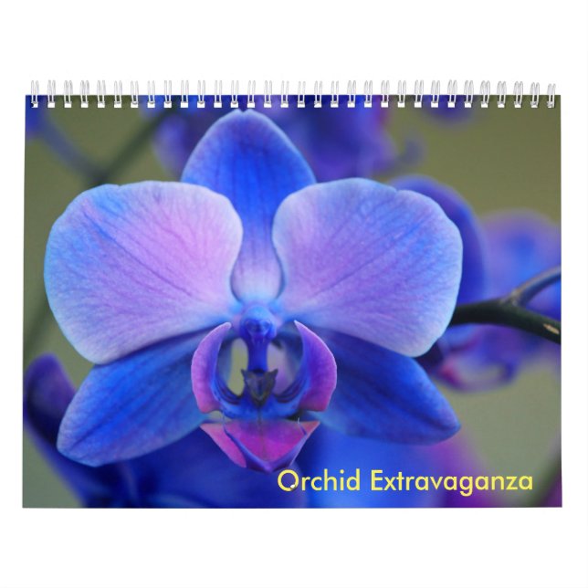 Orchid Extravaganza Kalender (Titelbild)