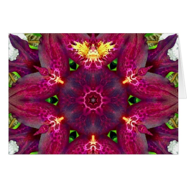 Orchid Fairy Mandala (Vorderseite (Horizontal))