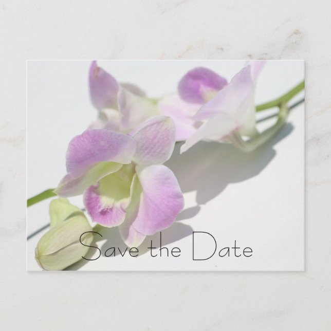 Orchid Foto Save the Date Postkarte (Vorderseite)