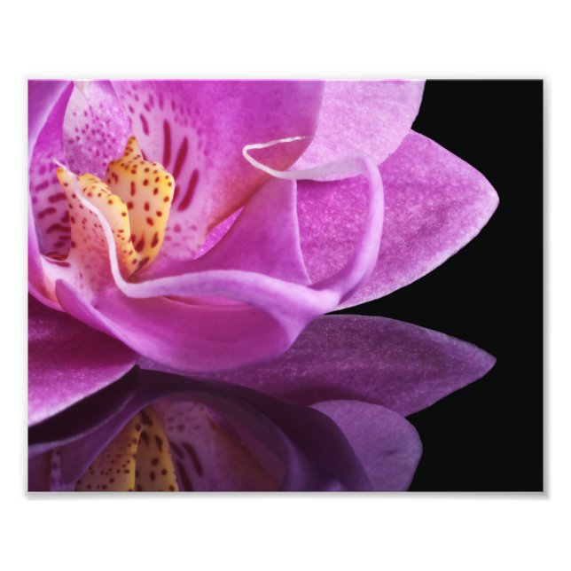 Orchid Fotodruck (Vorne)